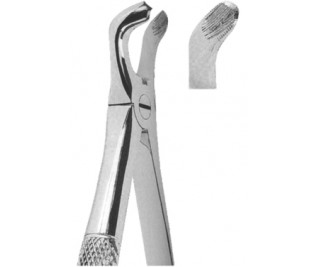 Extracting Forceps English pattern